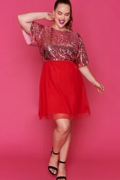Lorraine Designs Fit & Flare Dresses | Sequin Dresses*Faith Pink & Red Dress